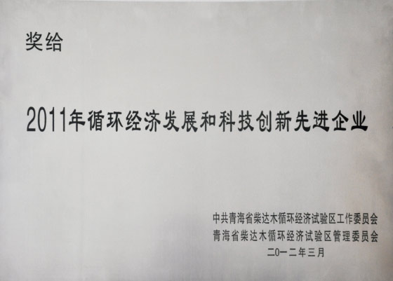 科技創(chuàng  )新先進(jìn)企業(yè)